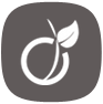 Viadeo
